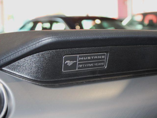 FORD Mustang CONVERTIBILE 5.0 V8 TiVCT GT *SERVICE FORD*UNIPROP