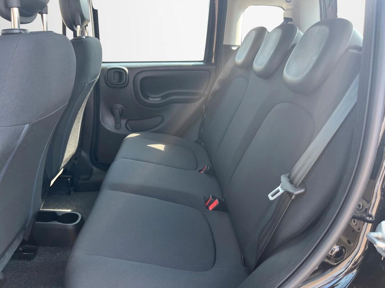 Fiat Panda Pandina 1.0 FireFly 65 CV Hybrid Icon