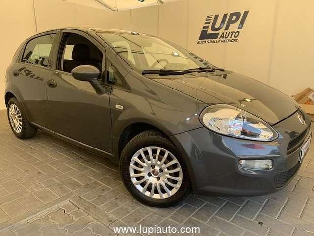 Fiat Punto Fiat Punto Adatta ai neo Patentati