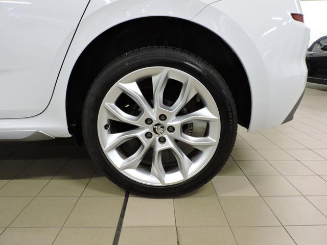 SKODA Kamiq 1.6 TDI SCR DSG Style
