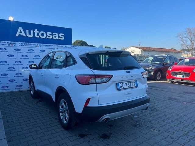 Ford Kuga 1.5 EcoBlue 120 CV 2WD Titanium Business