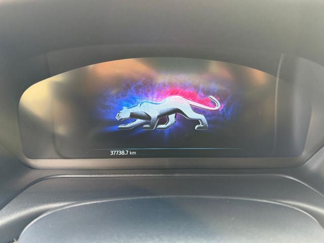 FORD Puma 1.0 EcoBoost Hybrid 125 CV S&S ST-Line