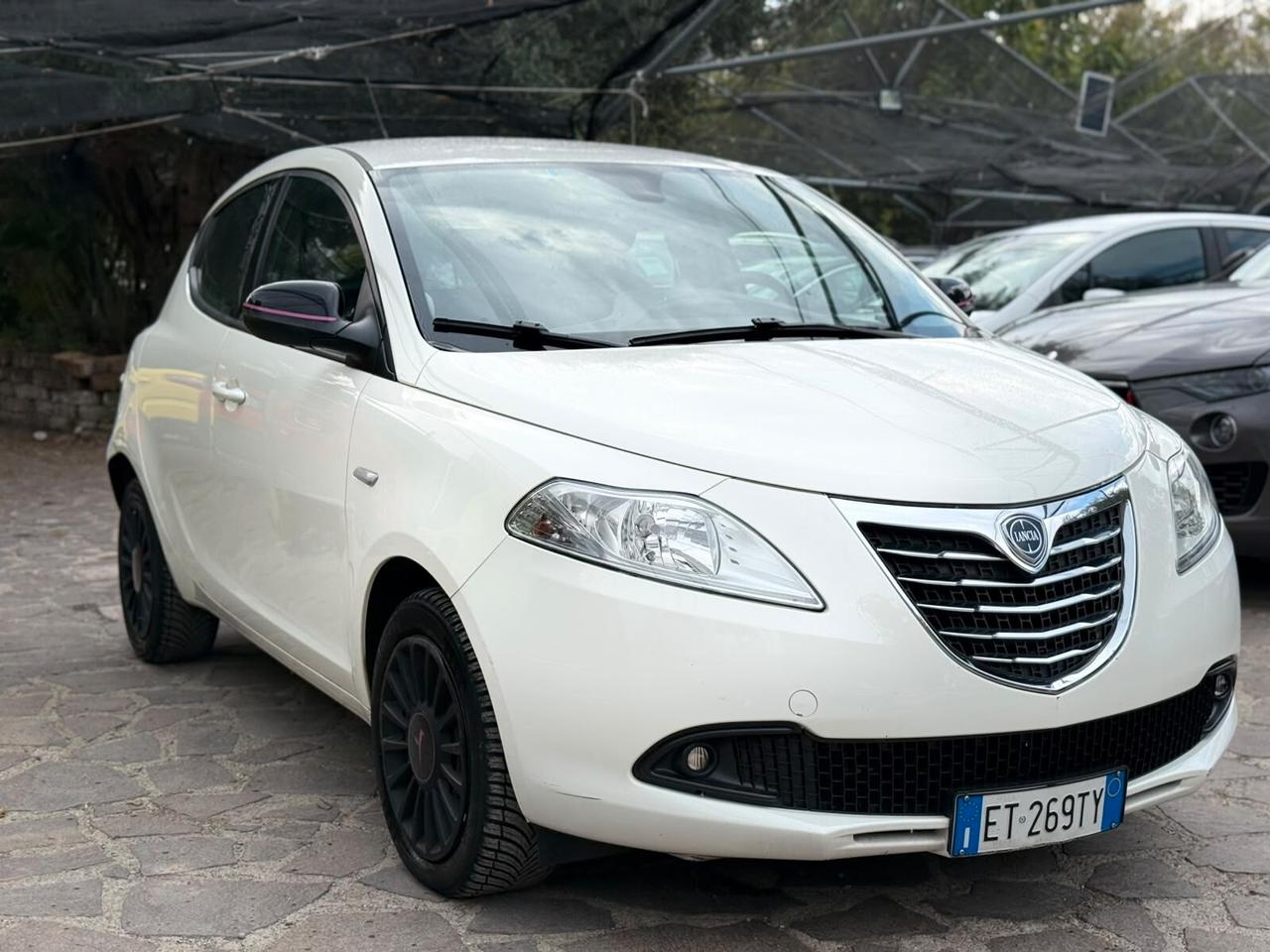Lancia Ypsilon 1.3 MJT 16V 95 CV 5 porte S&S Elefantino