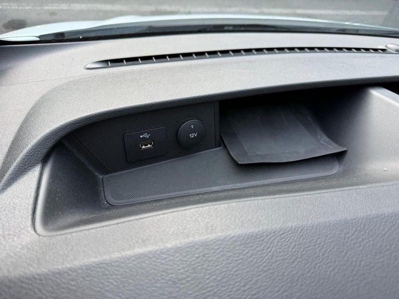 Ford Transit Transit 290 2.0TDCi EcoBlue 130CV PM-TM Furgone Trend