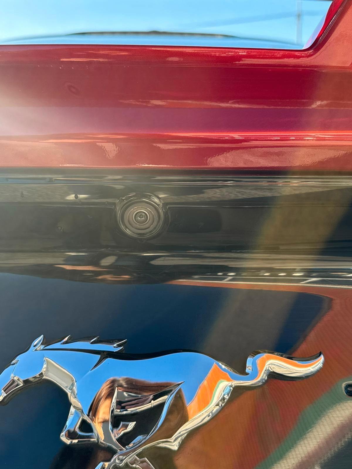 Ford Mustang 2.3 ecoboost all.shelby permute garanzia