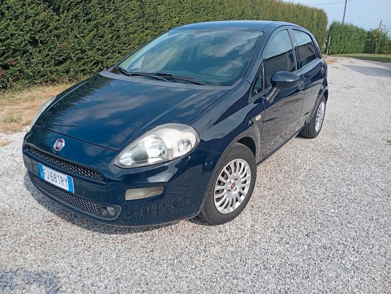 Fiat Punto 1.3 MJT II S&S 95 CV 5 porte Street