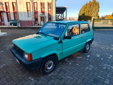 Fiat Panda 900 i.e. cat Young 2000