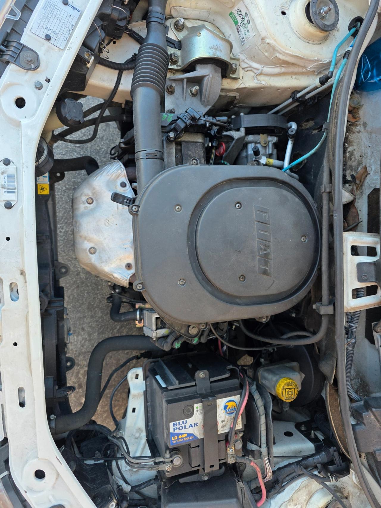 Fiat Punto 1.2 5 porte Dynamic