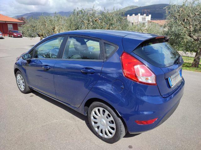 FORD Fiesta 1.6 TDCi 95CV 5 porte Business