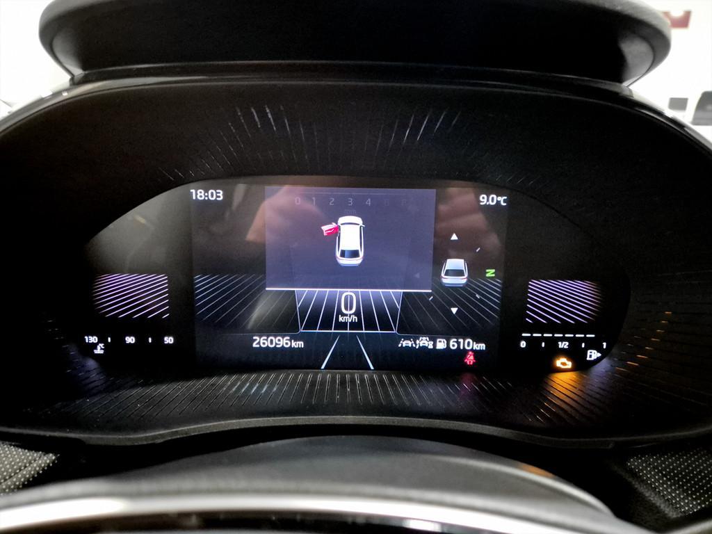 Skoda Fabia 1.0 tsi evo Young Edition 95cv