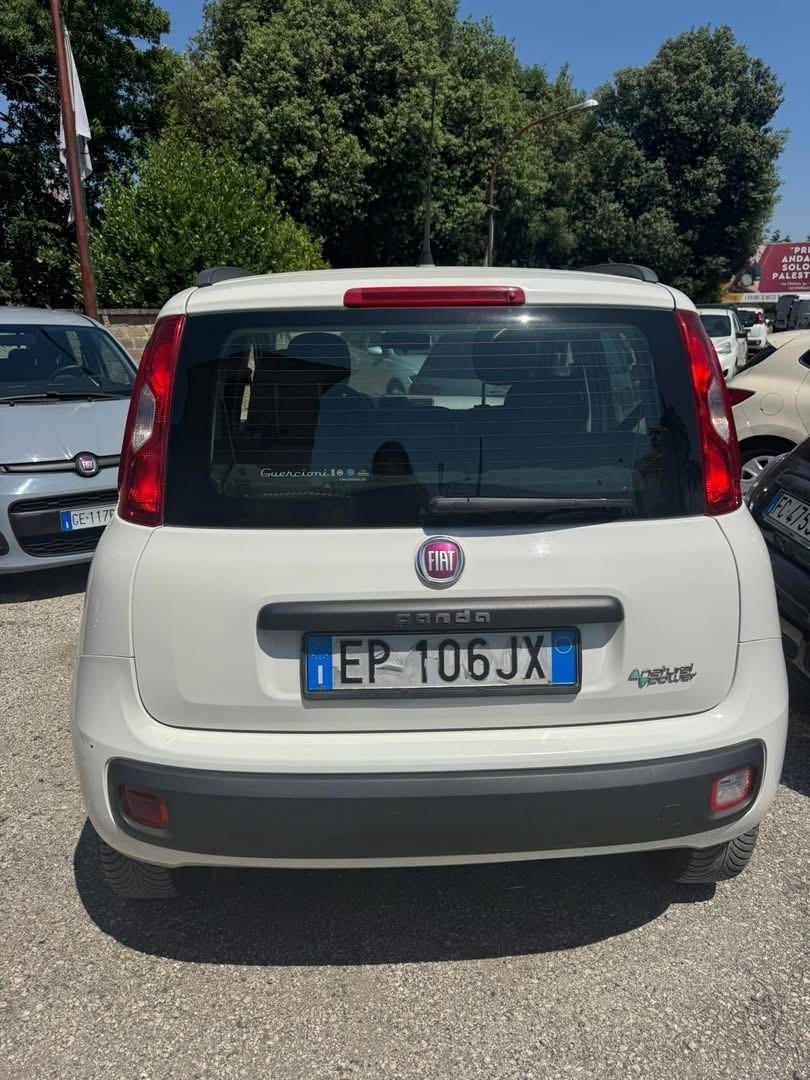 Fiat Panda Fiat Panda
