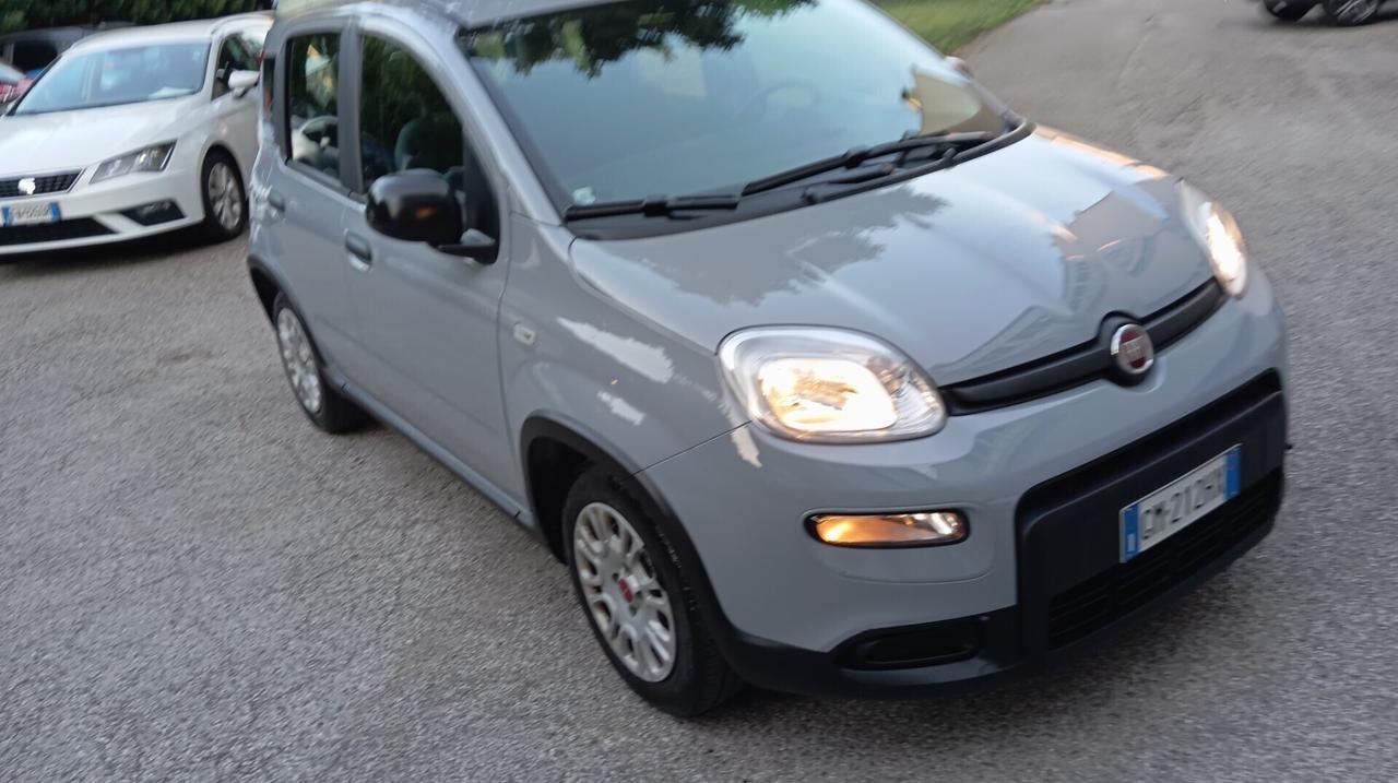 Fiat Panda 1.0 FireFly S&S Hybrid City Life