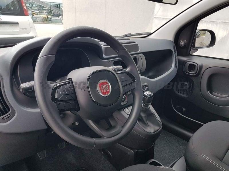 FIAT Panda Panda 1.0 70cv Hybrid Pop