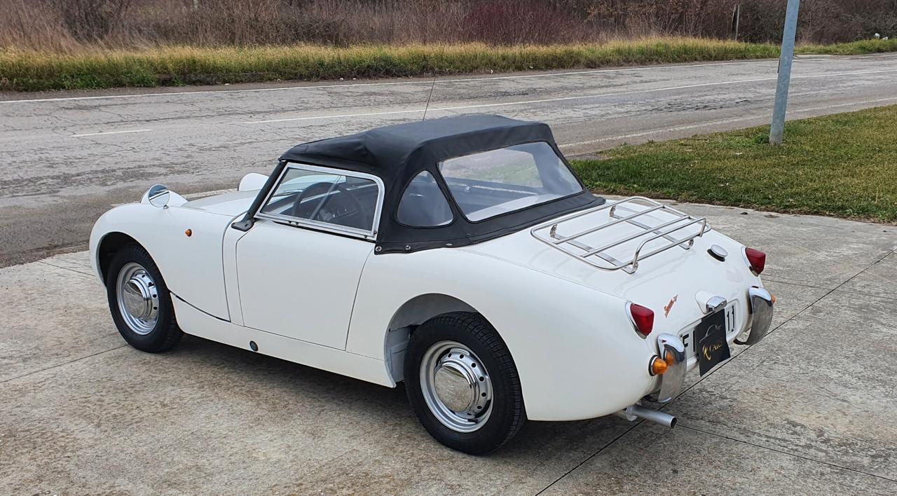 Austin Healey SPRITE FROG