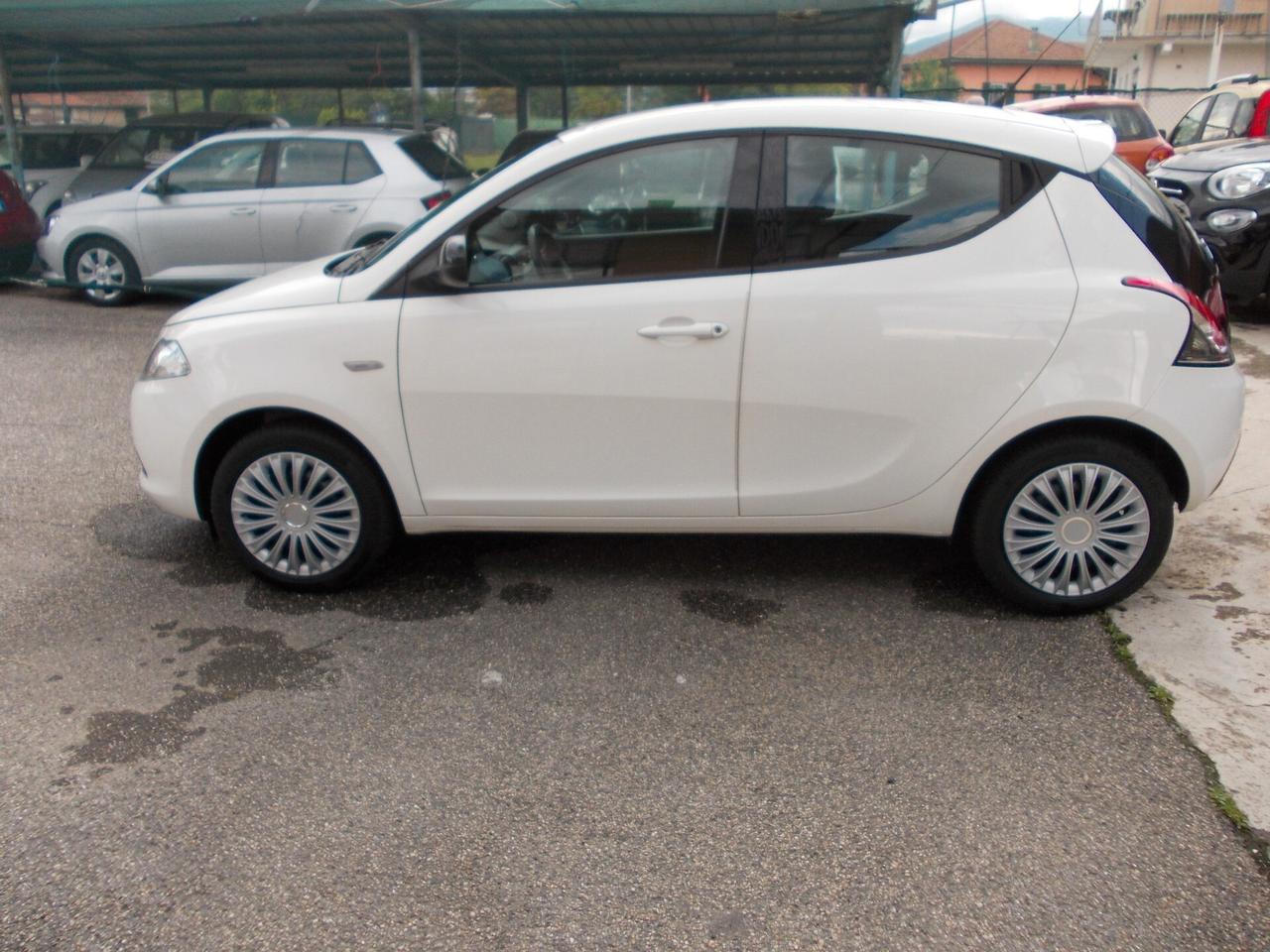 Lancia Ypsilon 1.2 69 CV 5 porte S&S Elefantino-KM82743