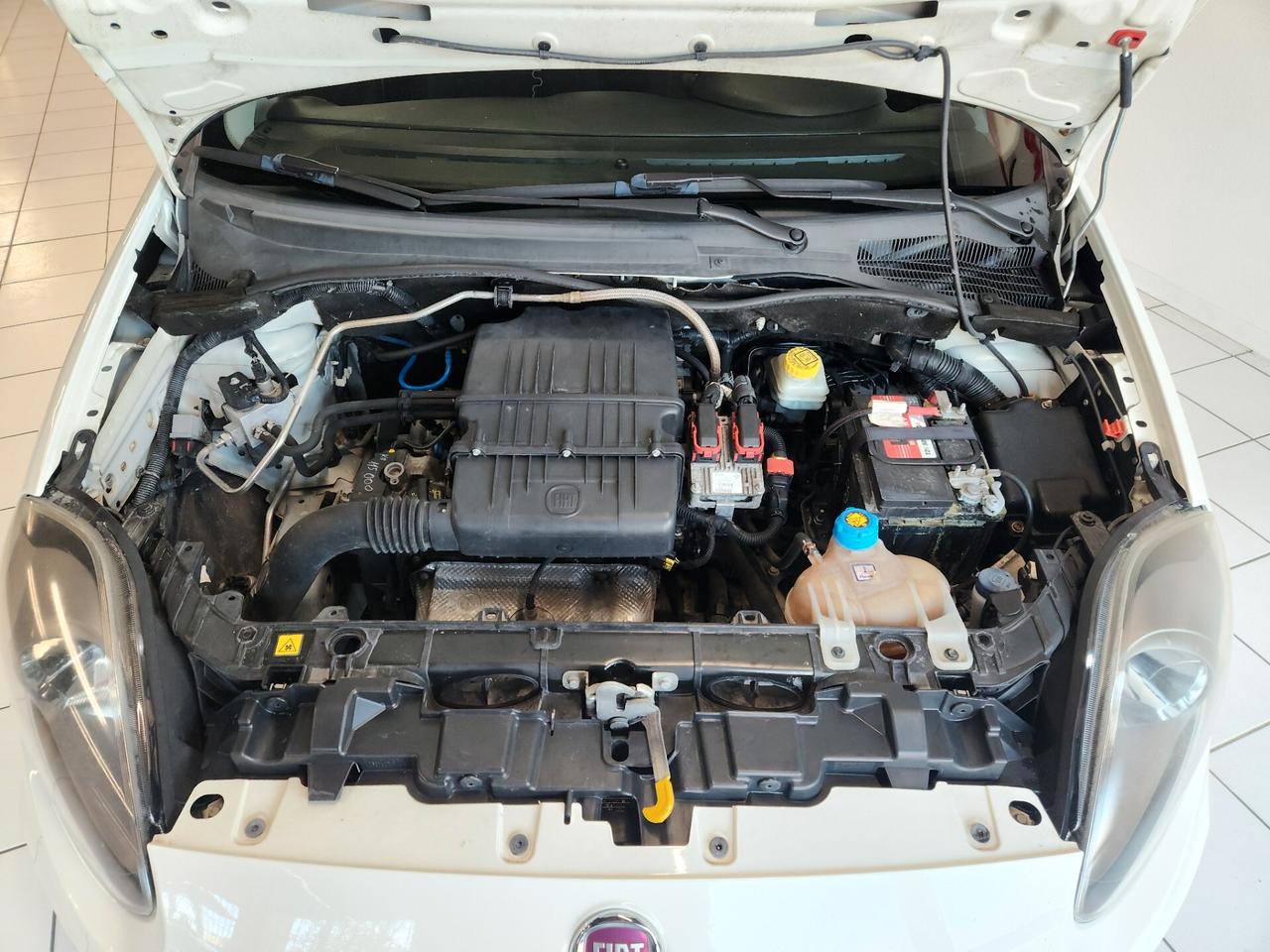 Fiat Punto 1.4 8V 5 porte Natural Power Lounge