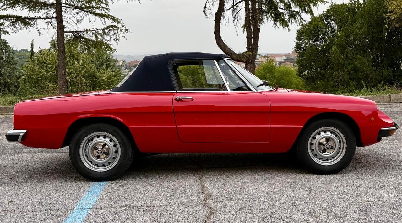 ALFA ROMEO SPIDER JUNIOR 1300 CODA TRONCA