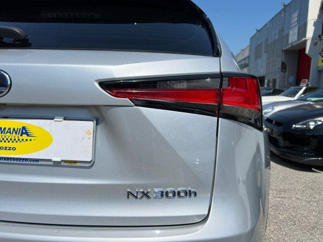 LEXUS NX 300 Hybrid Business