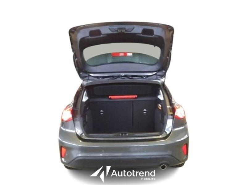Ford Focus 1.5 EcoBlue 120 CV Automatico Business Co-Pilot