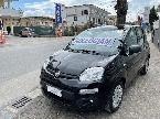 Fiat Panda Pandina 1.0 FireFly 65 CV Hybrid Cross