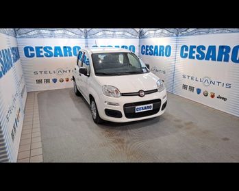 FIAT New Panda 1.0 firefly Hybrid 70cv 5 posti