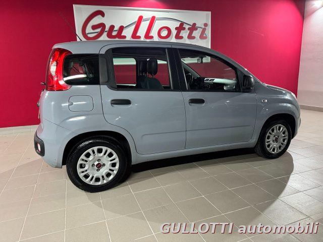 FIAT Panda 1.2 69cv fire Easy