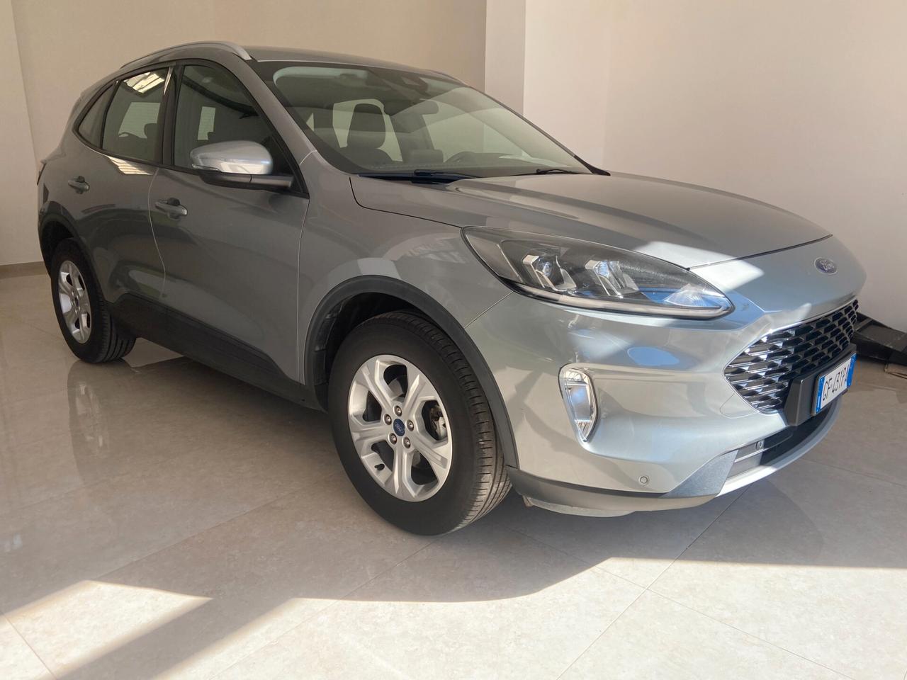Ford Kuga 1.5 Ecoblue 120 cv