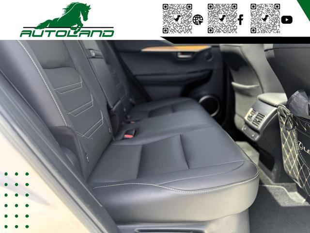 LEXUS NX 300 Hybrid 4WD Executive 155 CV