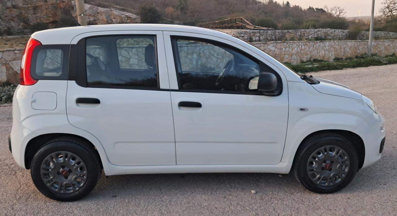 Fiat Panda 1.2 GPL EasyPower Easy (IVA ESPOSTA)