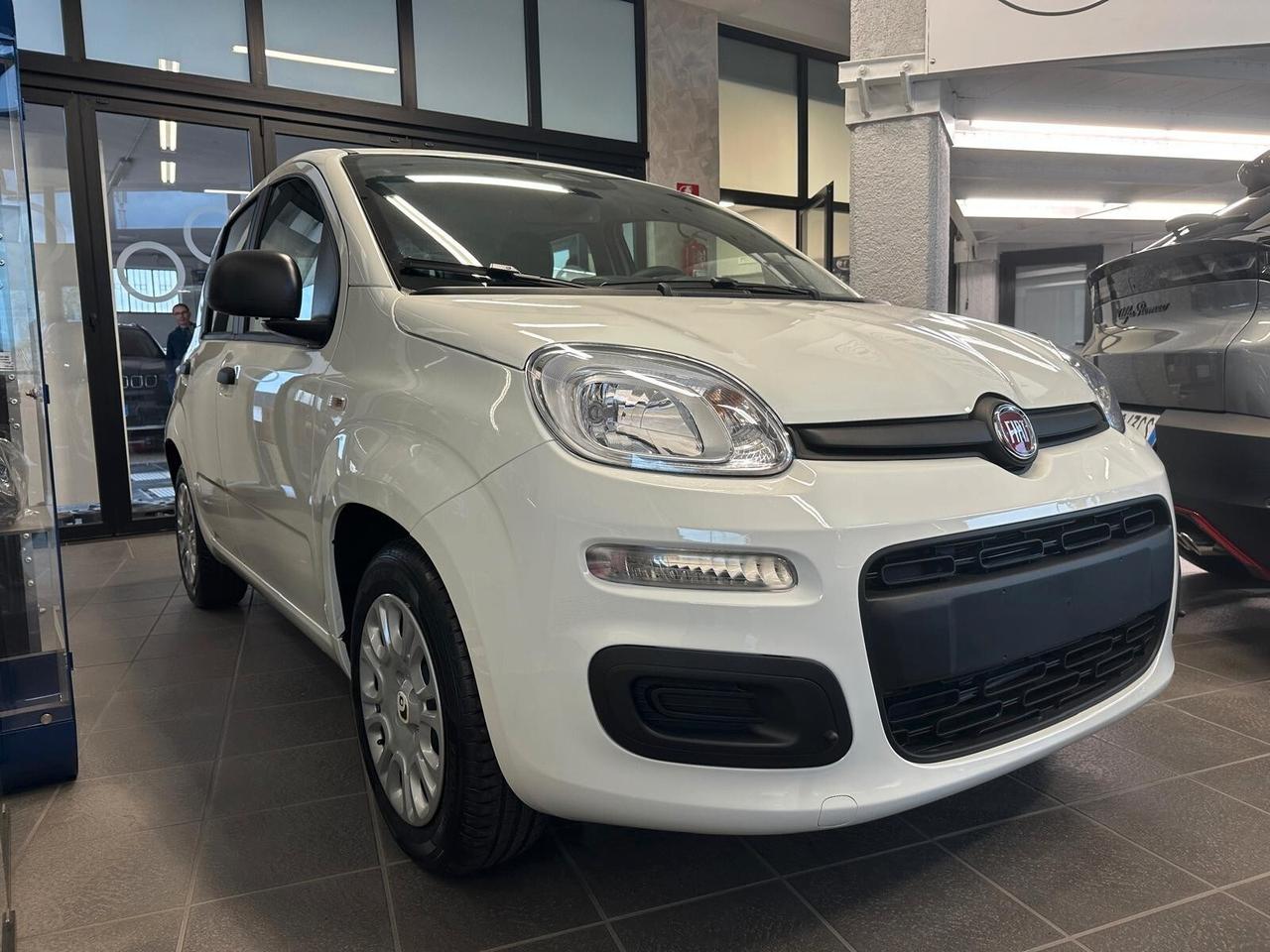 FIAT Panda 3ª serie Panda 1.0 FireFly S&S Hybr...