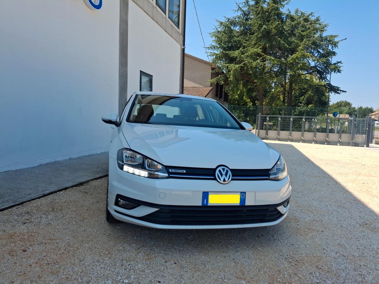 Volkswagen Golf 1.5 TGI DSG 5p. Executive BlueMotion Technology