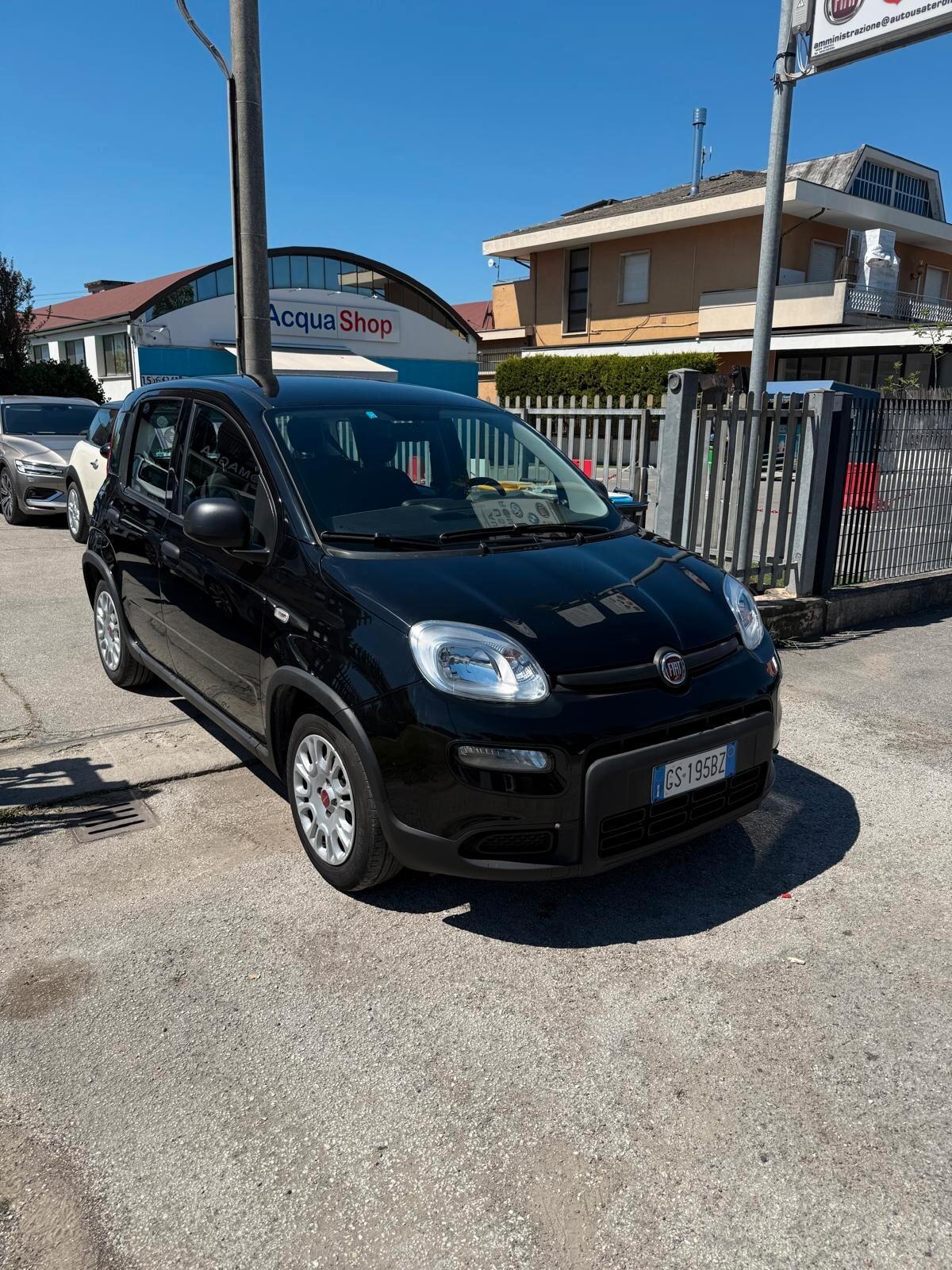 Fiat Panda 1.0 FireFly S&S Hybrid NESSUN VINCOLO