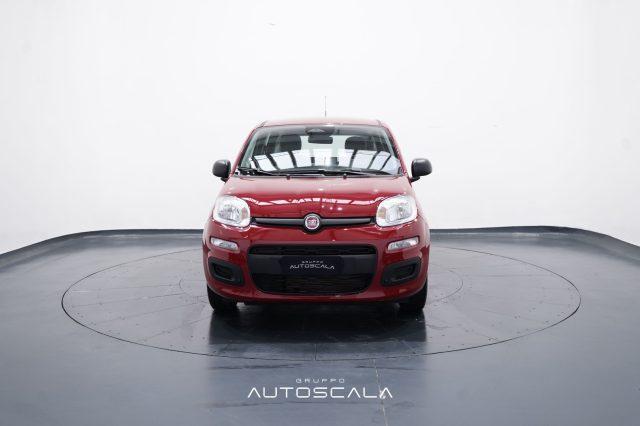 FIAT New Panda My25 1.0 FireFly S&S Hybrid