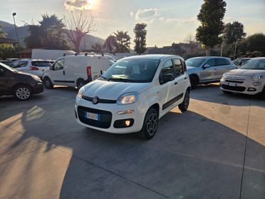 Fiat Panda 900 BENZINA S&S 4x4 - 2021 ACCESSORIATA