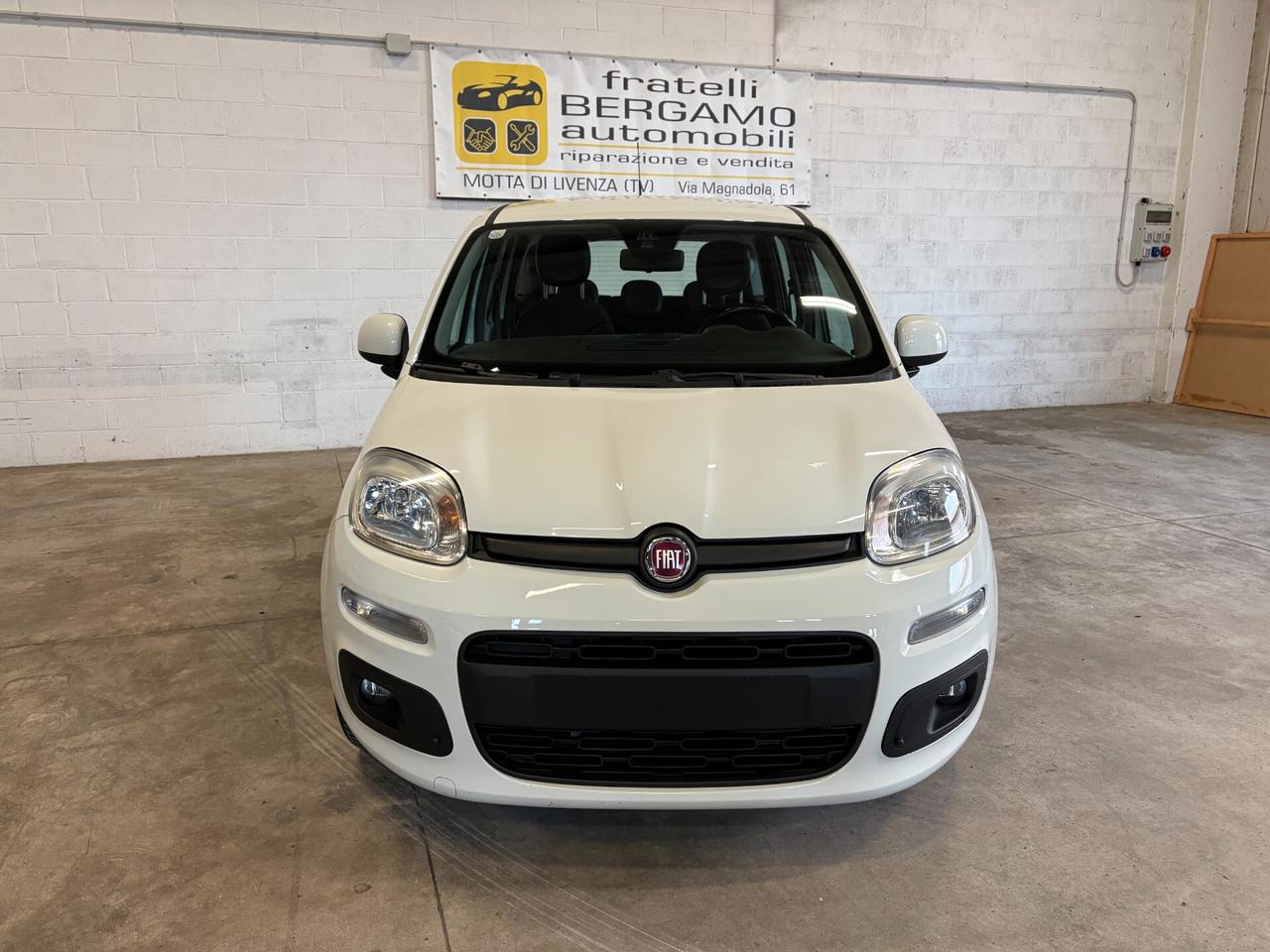 Fiat Panda 1.2 Lounge 69Cv Climatizzatore Automatico 5 Posti