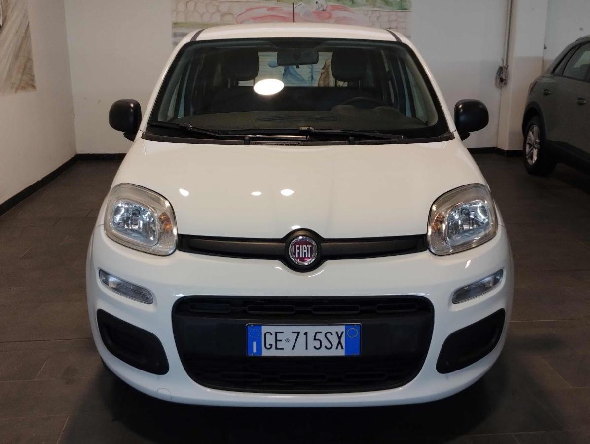 FIAT Panda 1.0 FireFly S&S Hybrid - SENSORI PARK - GAR.24 MESI