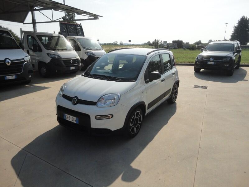 FIAT Panda 3ª serie Panda 1.0 FireFly S&S Hybr...