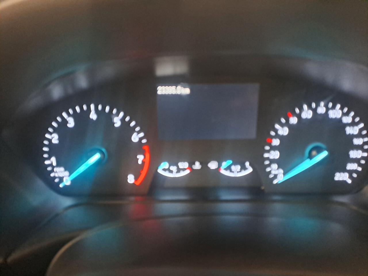 Ford Fiesta 1.0 Ecoboost Hybrid 125 CV 5 porte Titanium