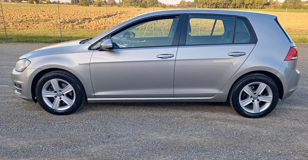 Volkswagen Golf 1.4 TGI 5p. Highline BlueMotion