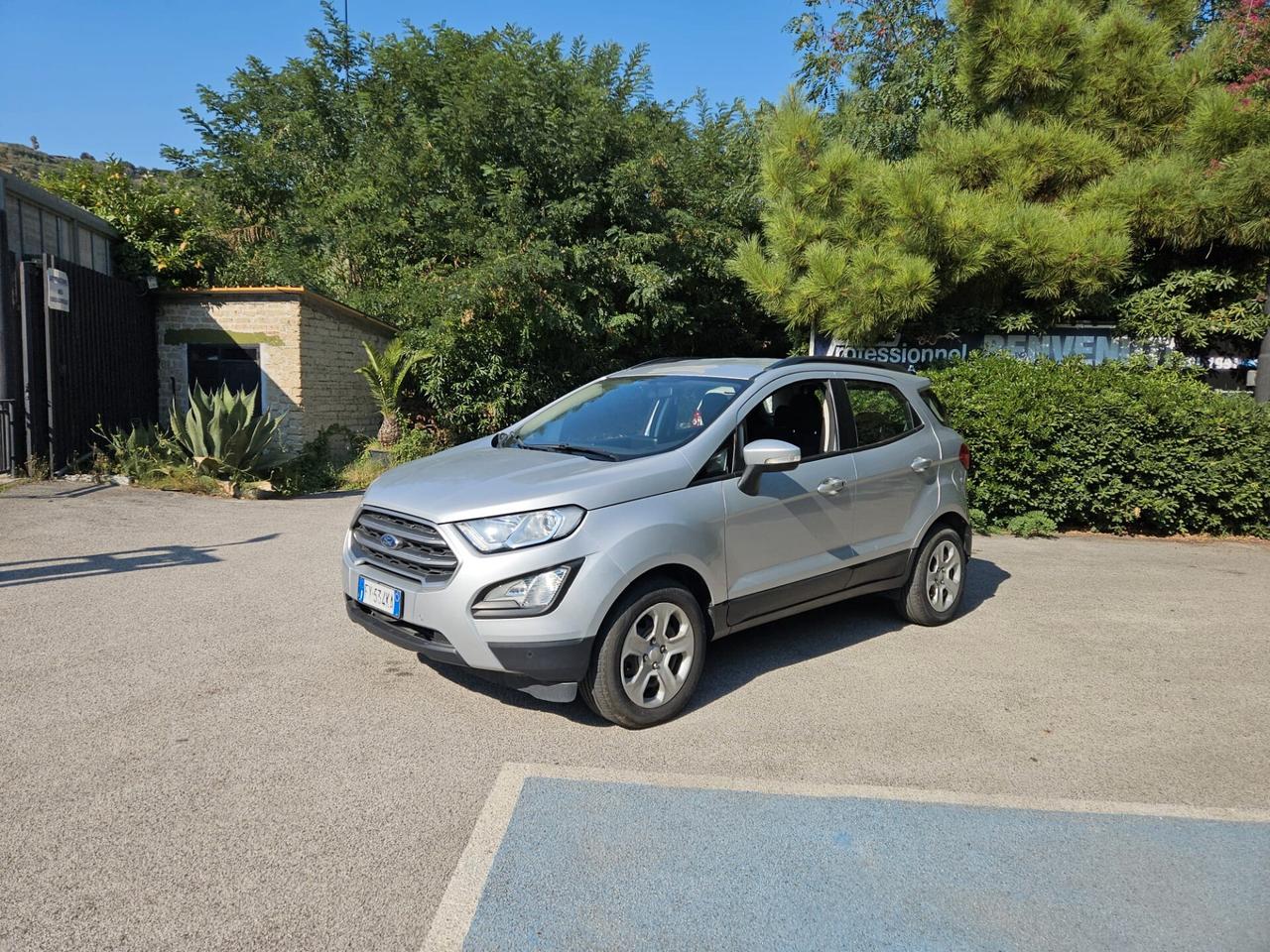 Ford EcoSport 1.0 EcoBoost 125 CV Start&Stop aut. Business