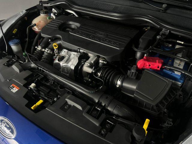 FORD Fiesta 1.5 EcoBlue 5 porte Plus
