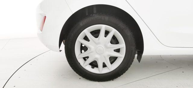 FORD Fiesta 1.5 EcoBlue 5 porte Business