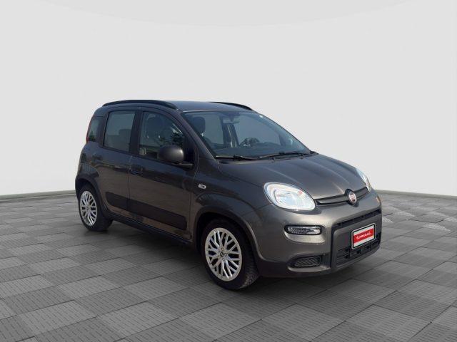 FIAT Panda Panda 1.0 FireFly Hybrid City Life