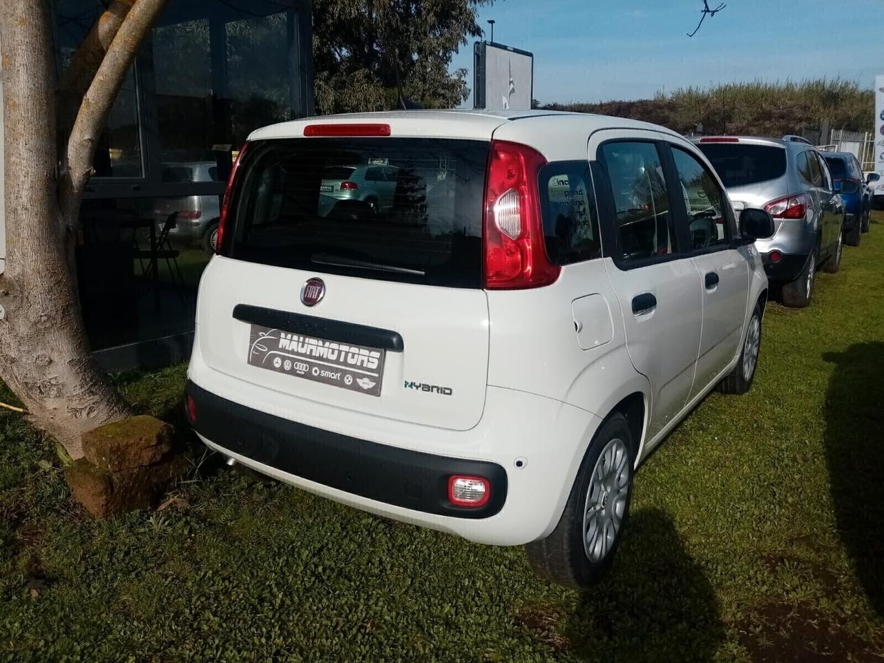 NOLEGGIO FIAT PANDA 1.0 FIREFLY SS HYBRID PANDINA