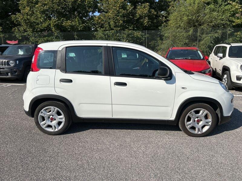 FIAT Panda New My23 1.0 70cv Hybrid Panda