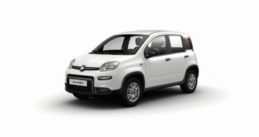 FIAT Pandina Pandina 1.0 FireFly 65 CV Hybrid Pop