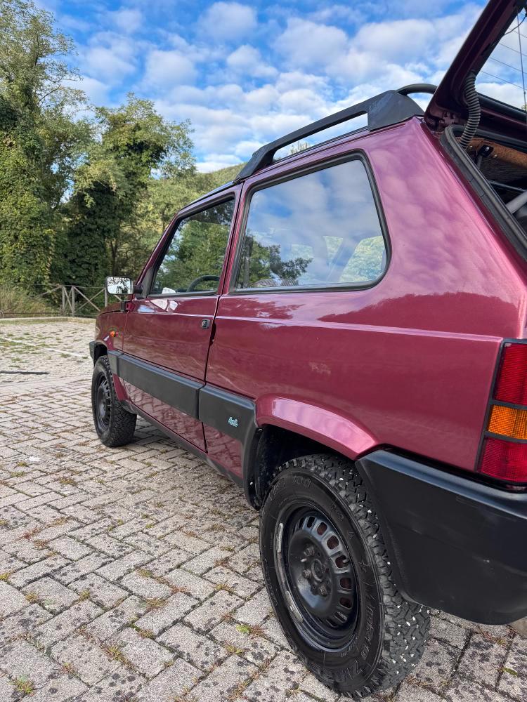 Fiat Panda 1.1 Fire Trekking 4x4 cat.