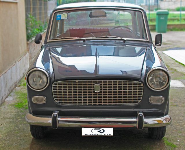 FIAT 1100 D