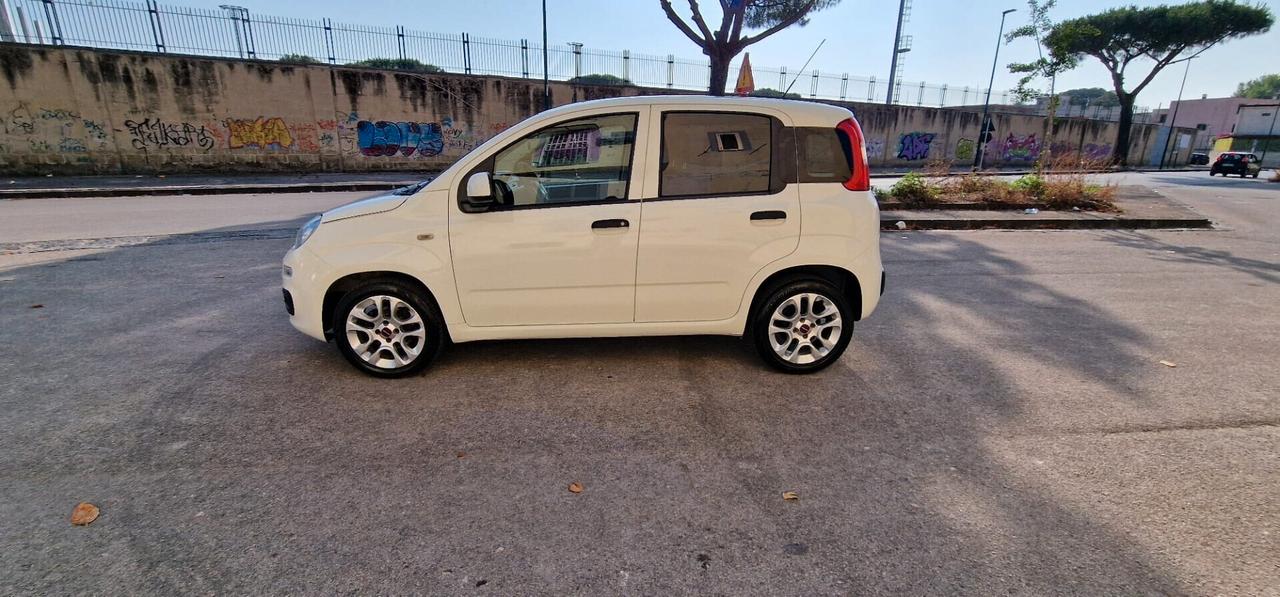 Fiat Panda 1.2 Lounge 69CV FINANZIAMENTI ANCHE SENZA BUSTA PAGA