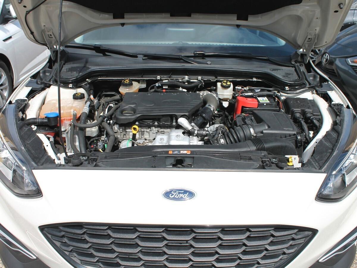 Ford Focus 1.5 EcoBlue 120 CV 5p. Active